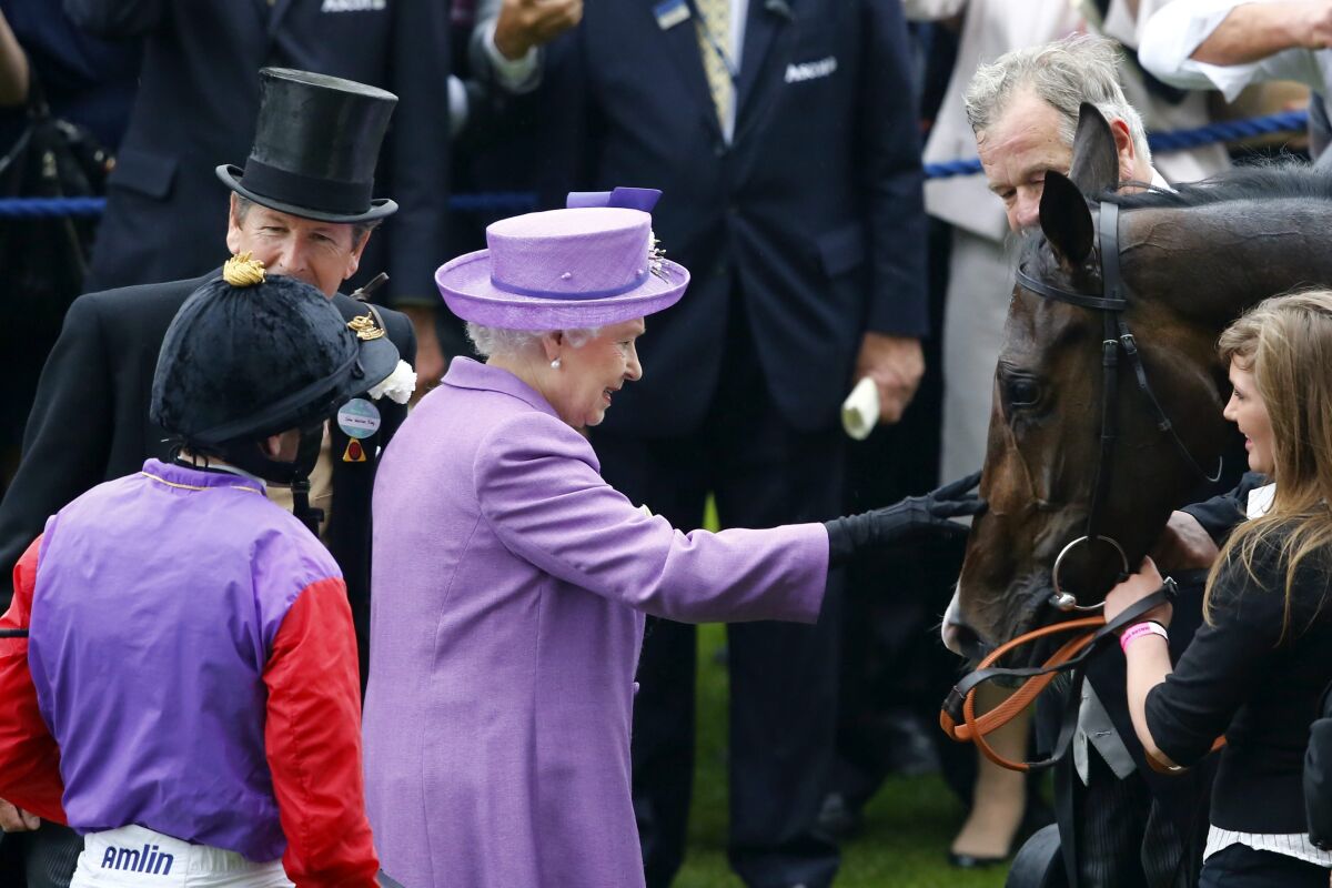 Caballo Escoces Reina Isabel II