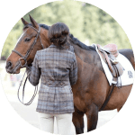 Cuidados Caballo