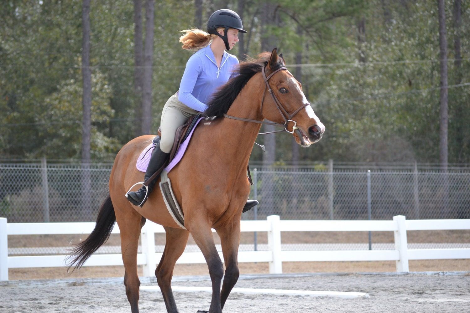 Casco Equitacion Horze para Montar a Caballo