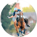 Raza de Caballo Polo Argentino
