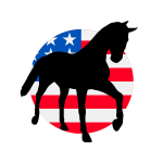 Razas de Caballos Americanos de Estados Unidos USA